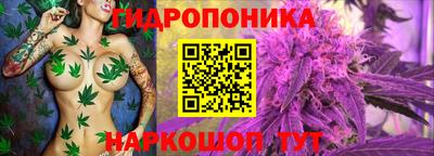 прущий лед Краснознаменск